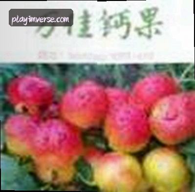 刘洋